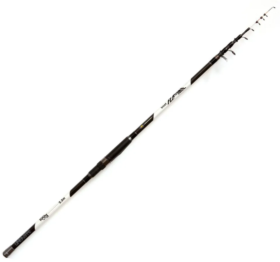 Lineaeffe Boat Flame 2,50 m canna barca 100 g carbonio