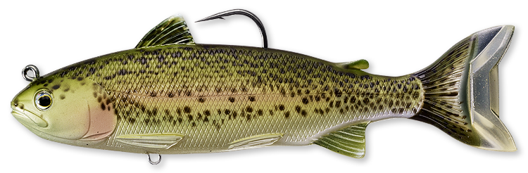 Livetarget Adult Trout swimbait 6 1/2" Olive Red acqua dolce