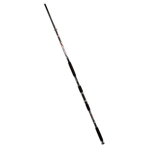 Lineaeffe Carbon Catfish 350 2.70 m 350 g canna siluro