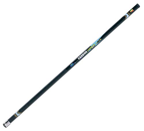 Lineaeffe X Carbon 4,20 m Manico Guadino Attacco Universale