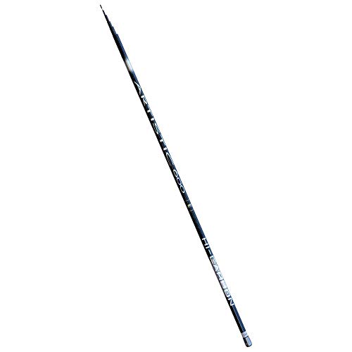 Lineaeffe Artistic Pole 5 m canna fissa 5-25 g