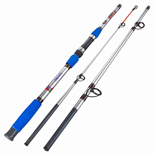Linea Effe 2228321 Canna da Viaggio 2,1 m 25 g