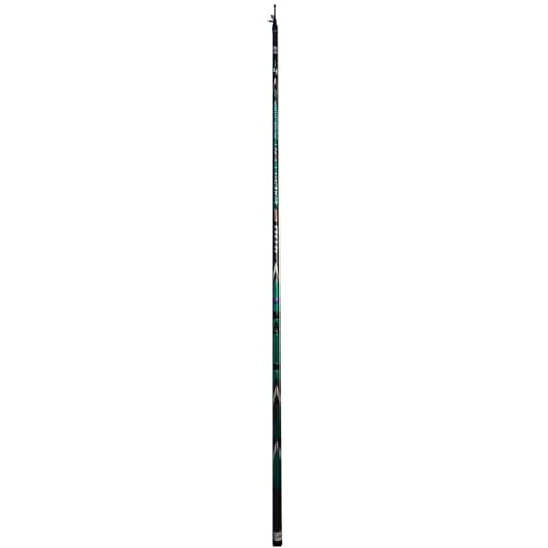 Lineaeffe Excellent Revolution Bolo 4 m 25 g canna bolognese