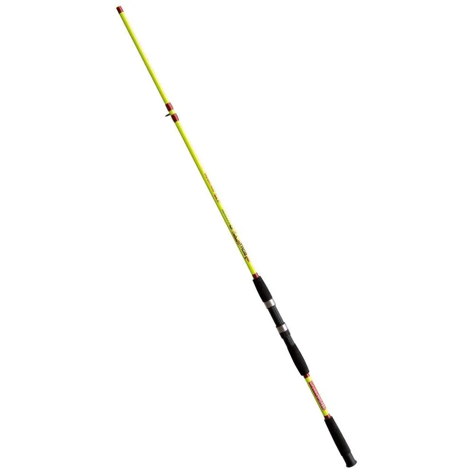 Lineaeffe Boat Master canna barca 2,40 m mare