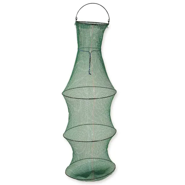 Linea Effe Retino Porta Pesci 120 cm 30x46 cm Mare Lago