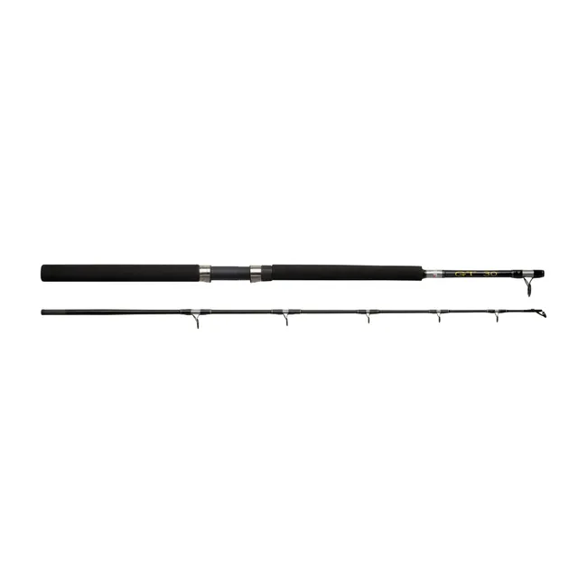Abu Garcia GT 602 Canna da Barca 30 lb acqua salata