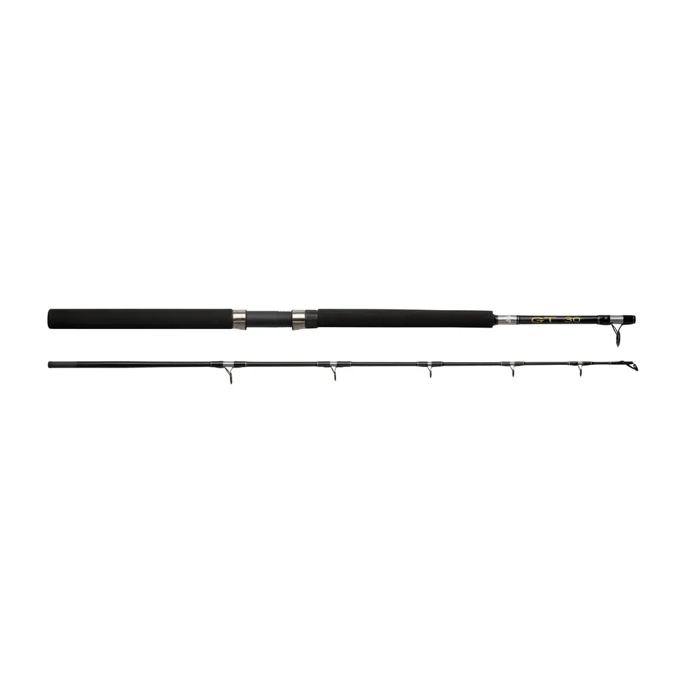 Abu Garcia GT 602 Canna da Barca 30 lb acqua salata