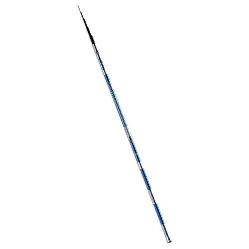 Linea Effe Dream Carbon Pole 7 m canna fissa fino 30 g