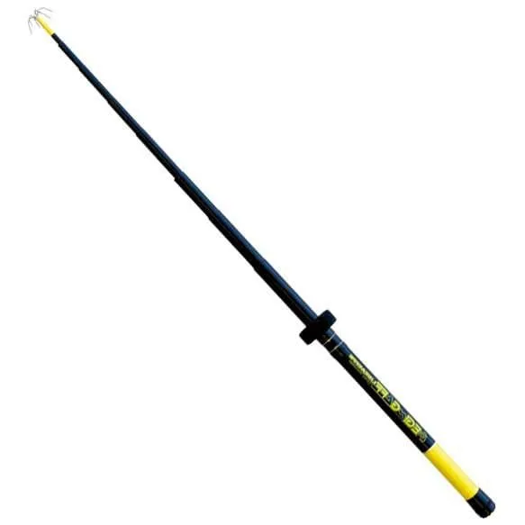 Linea Effe Egi Gaff raffio telescopico 3 m 6 punte