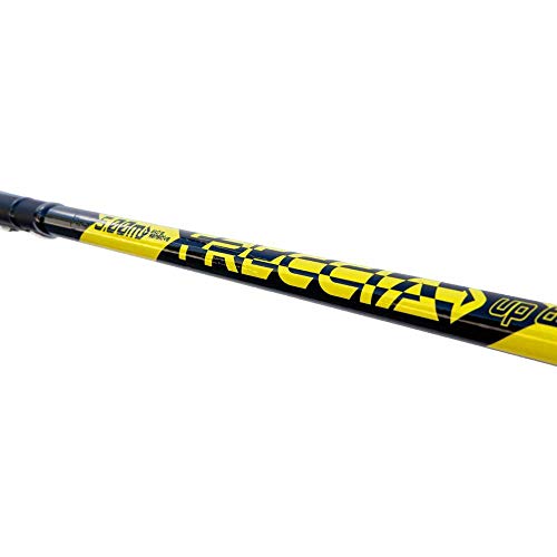 Lineaeffe Freccia Hi-Carbon canna bolognese 6 m 30 g