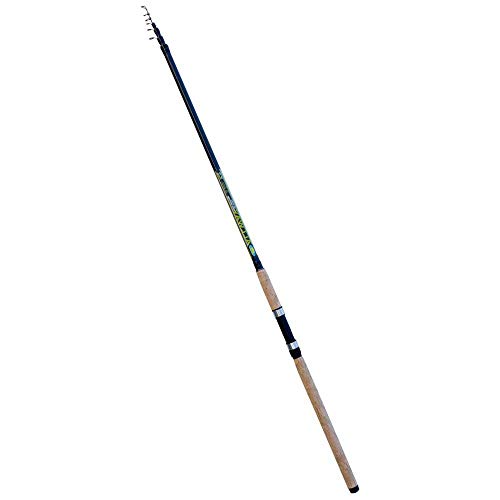 Lineaeffe Allway canna inglese 4.20 m 70 g
