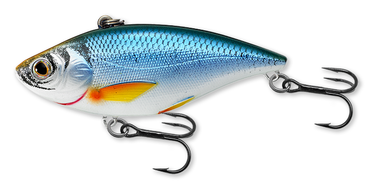 Livetarget Golden Shiner Rattlebait esca 2" 1/4 oz Silver Blue