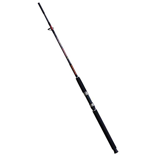 Lineaeffe Caspian 2.70 m 100-250 g canna spinning