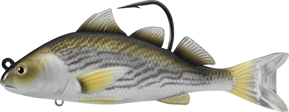 Livetarget Croaker Swimbait 4" esca 1 oz Atlantic Croaker