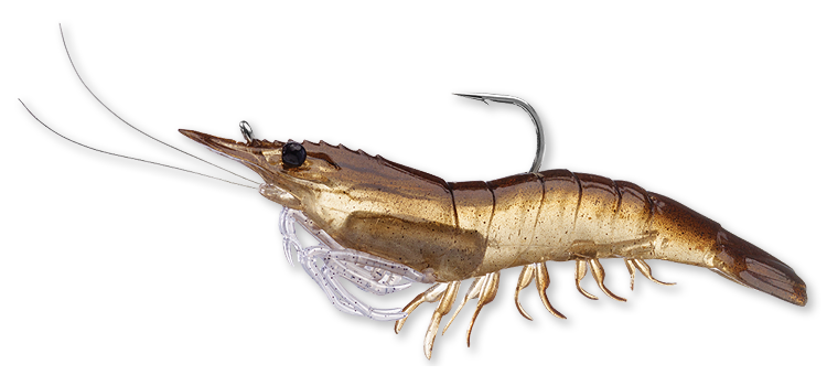 Livetarget Rigged Shrimp esca gambero 3" Sand Shrimp mare