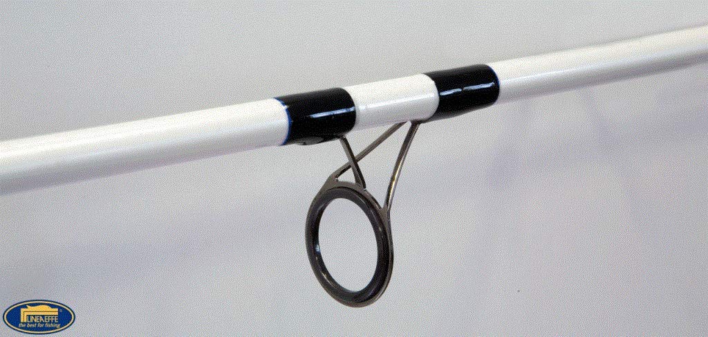 Linea Effe Saltwater Spinning 2,70 m 60 g canna mare