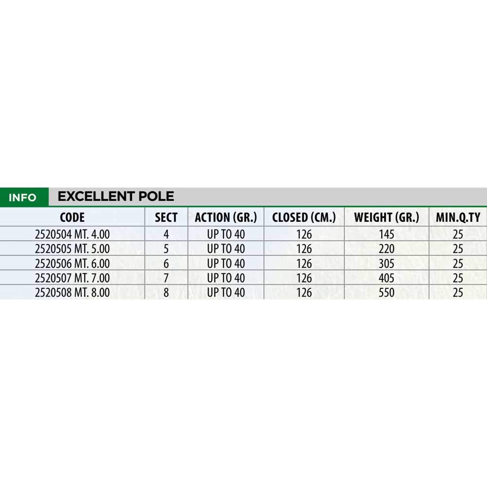 Linea Effe Excellent Pole Canna Fissa 6 m fino a 40 g