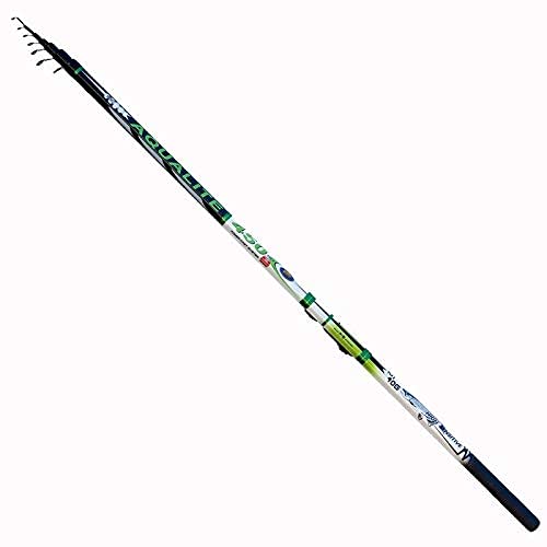 Lineaeffe Aqualite 5.40 m 10-40 g canna bolognese passata