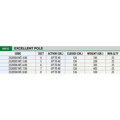 Linea Effe Excellent Pole Canna Fissa 6 m fino a 40 g
