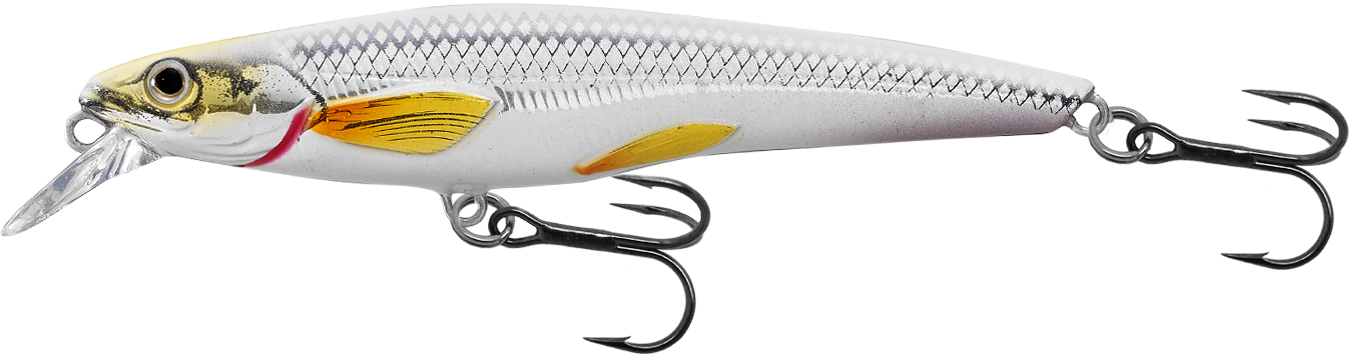 Livetarget Rainbow Smelt Jerkbait esca 3 5/8" Silver Blue