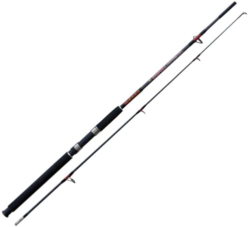 Linea Effe Caspian canna spinning 1,80 m 100-250 g predatori