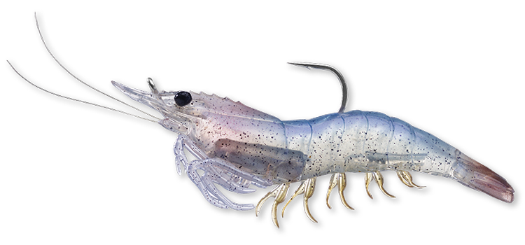 Livetarget Rigged Shrimp esca gambero 3" Sand Shrimp mare
