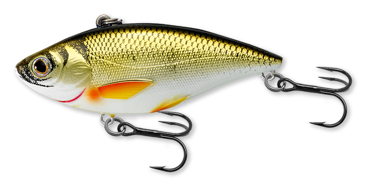 Livetarget Golden Shiner Rattlebait esca 2" 1/4 oz Silver Blue