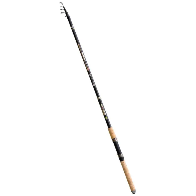 Lineaeffe Carbo Spin 2.40 m canna spinning 30-60 g predatori
