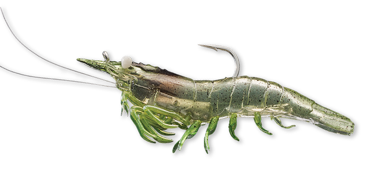 Livetarget Rigged Shrimp esca gambero 3" Sand Shrimp mare