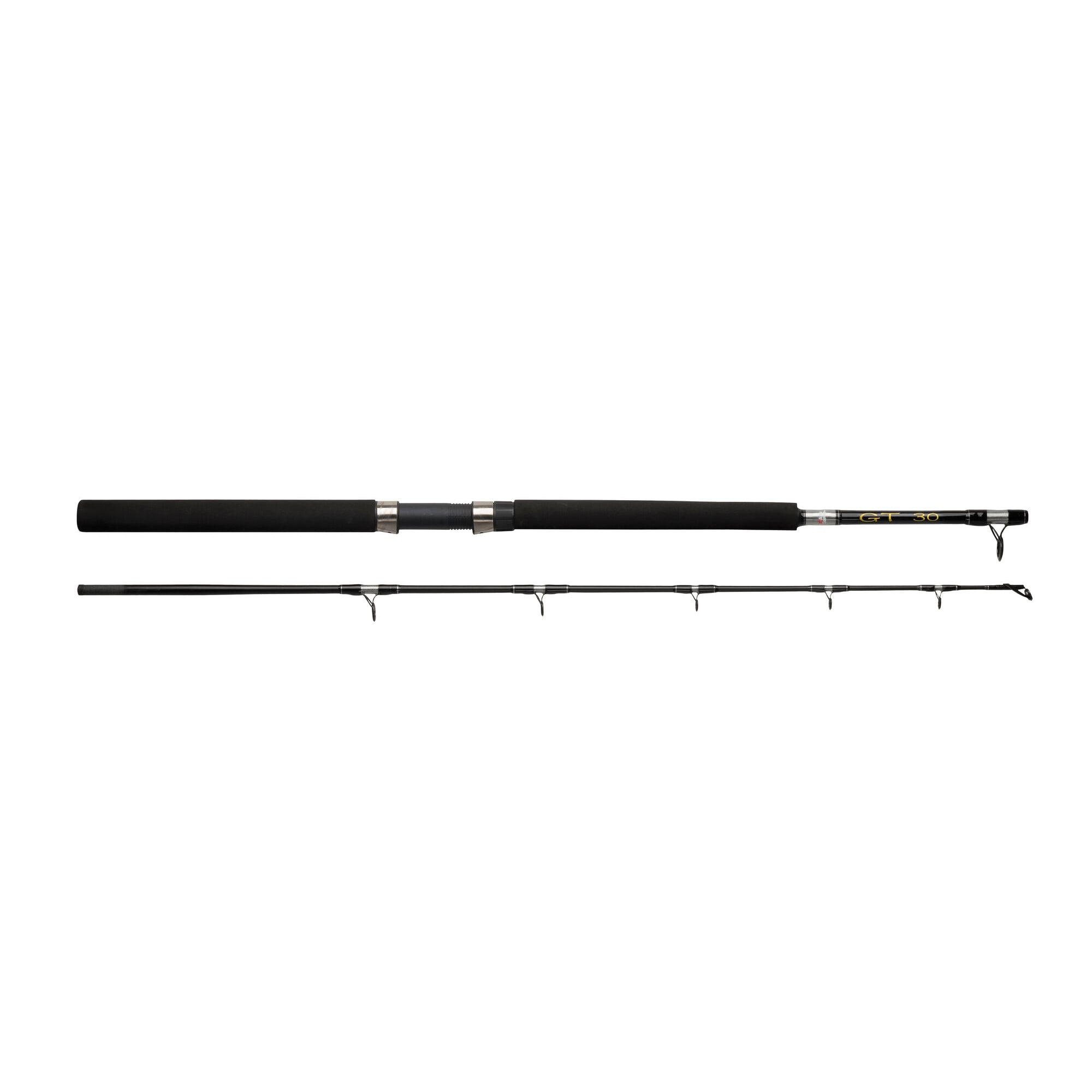 Abu Garcia GT 602 Canna da Barca 30 lb acqua salata