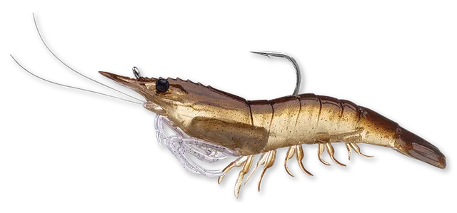 Livetarget Rigged Shrimp esca gambero 3" Sand Shrimp mare