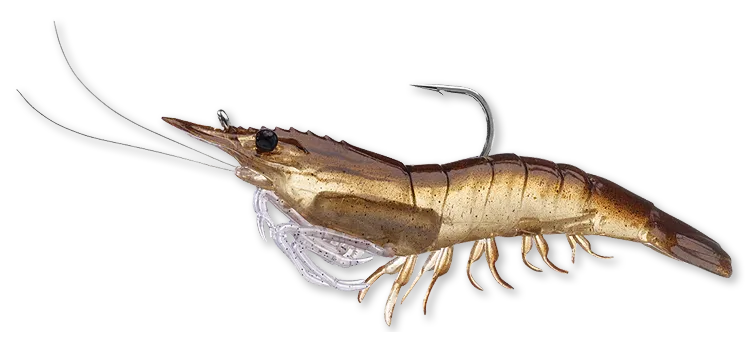 Livetarget Rigged Shrimp esca gambero 3" Sand Shrimp mare