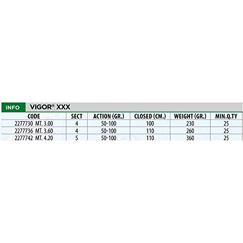 Lineaeffe Vigor XXX 4.20 m canna surfcasting telescopica 50-100 g