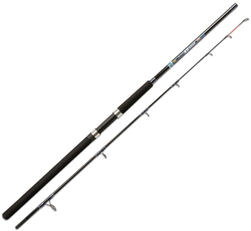 Lineaeffe XR Boat 2.10 m 200 g Canna Bolentino Vetro