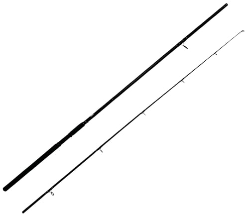 Linea Effe Vigor Spinn 3 m Canna Spinning 90 g