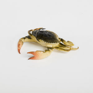Savage Gear Toughtec Crab esca granchio aromatizzata mare