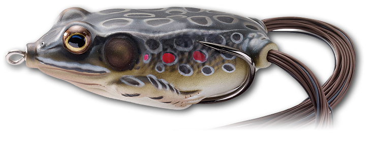Livetarget Hollow Body Frog esca rana 2 1/4" Green Yellow
