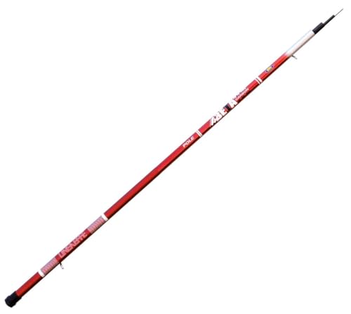 Lineaeffe Beta Carbon Pole 5 m canna fissa 40 g