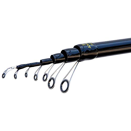 Lineaeffe Freccia Hi-Carbon canna bolognese 6 m 30 g