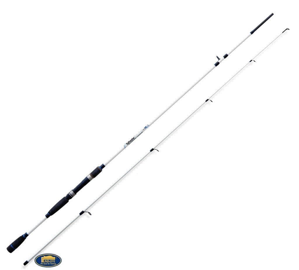 Linea Effe Saltwater Spinning 2,70 m 60 g canna mare