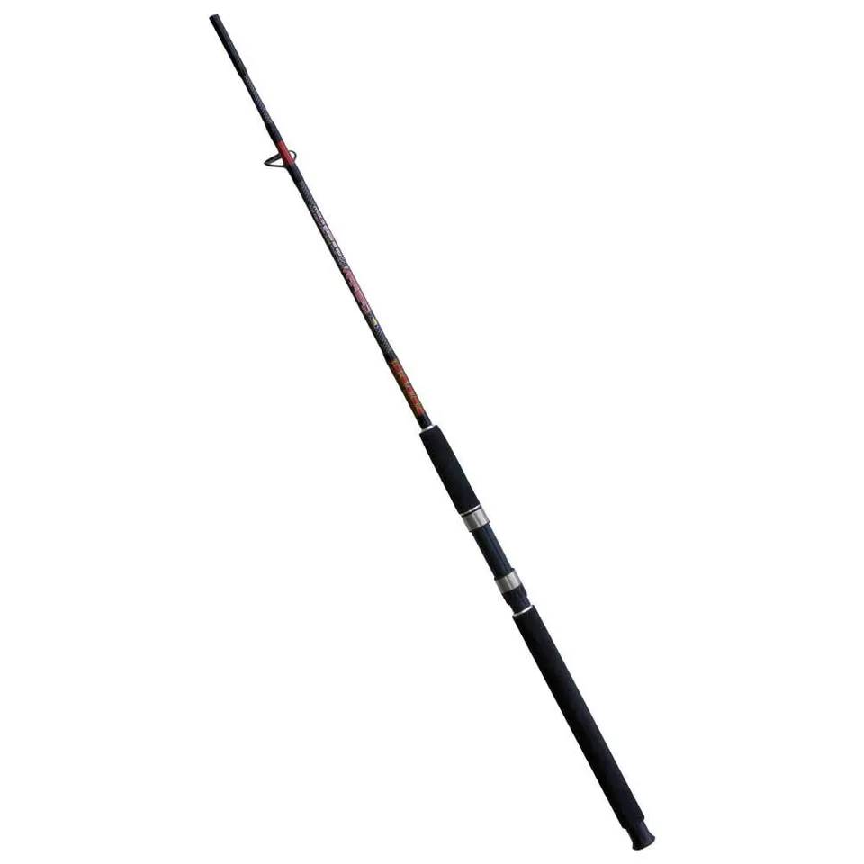 Lineaeffe Caspian 2.70 m 100-250 g canna spinning