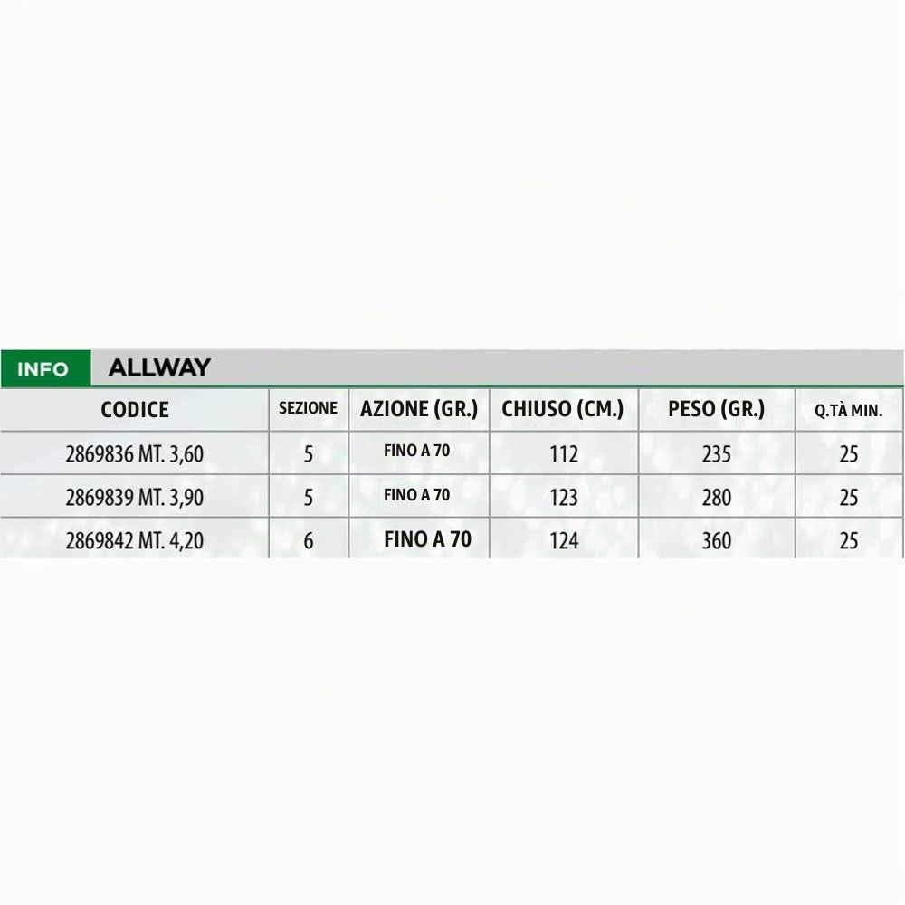 Lineaeffe Allway canna inglese 4.20 m 70 g