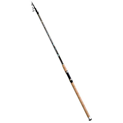 Linea Effe Toro Canna Inglese 4 m 40 g Sezioni per Mare Lago Fiume