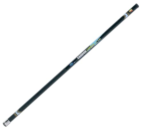 Lineaeffe X Carbon 4,20 m Manico Guadino Attacco Universale