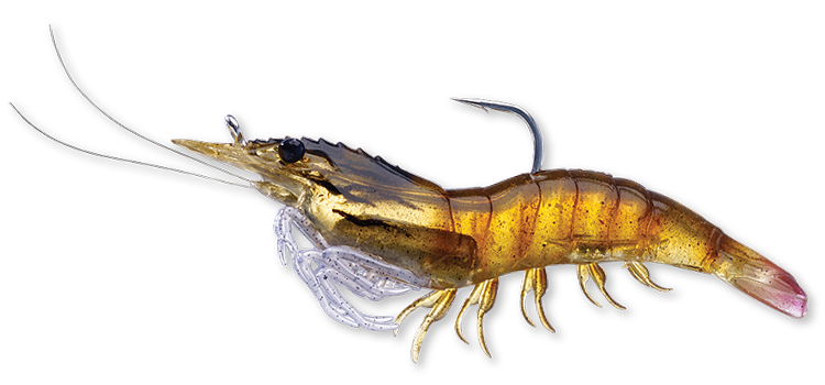Livetarget Rigged Shrimp esca gambero 3" Sand Shrimp mare