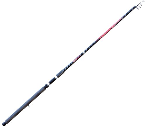 Linea Effe Vigor Hardcore 2.40 m canna ledgering 200 g